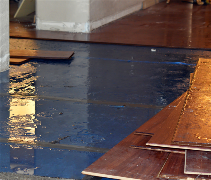 Water Damaged Floors 